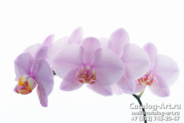 картинки для фотопечати на потолках, идеи, фото, образцы - Потолки с фотопечатью - Розовые орхидеи 32